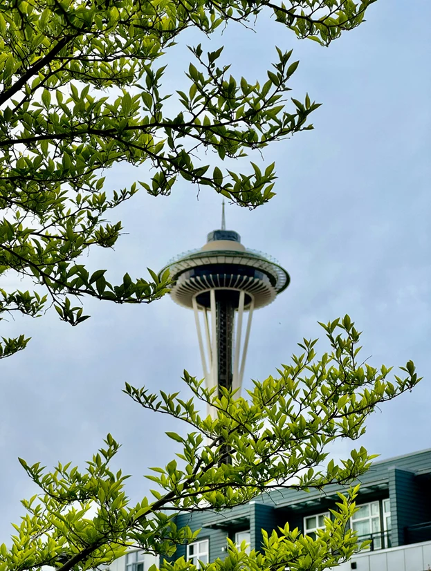A tower framed by green tree branches